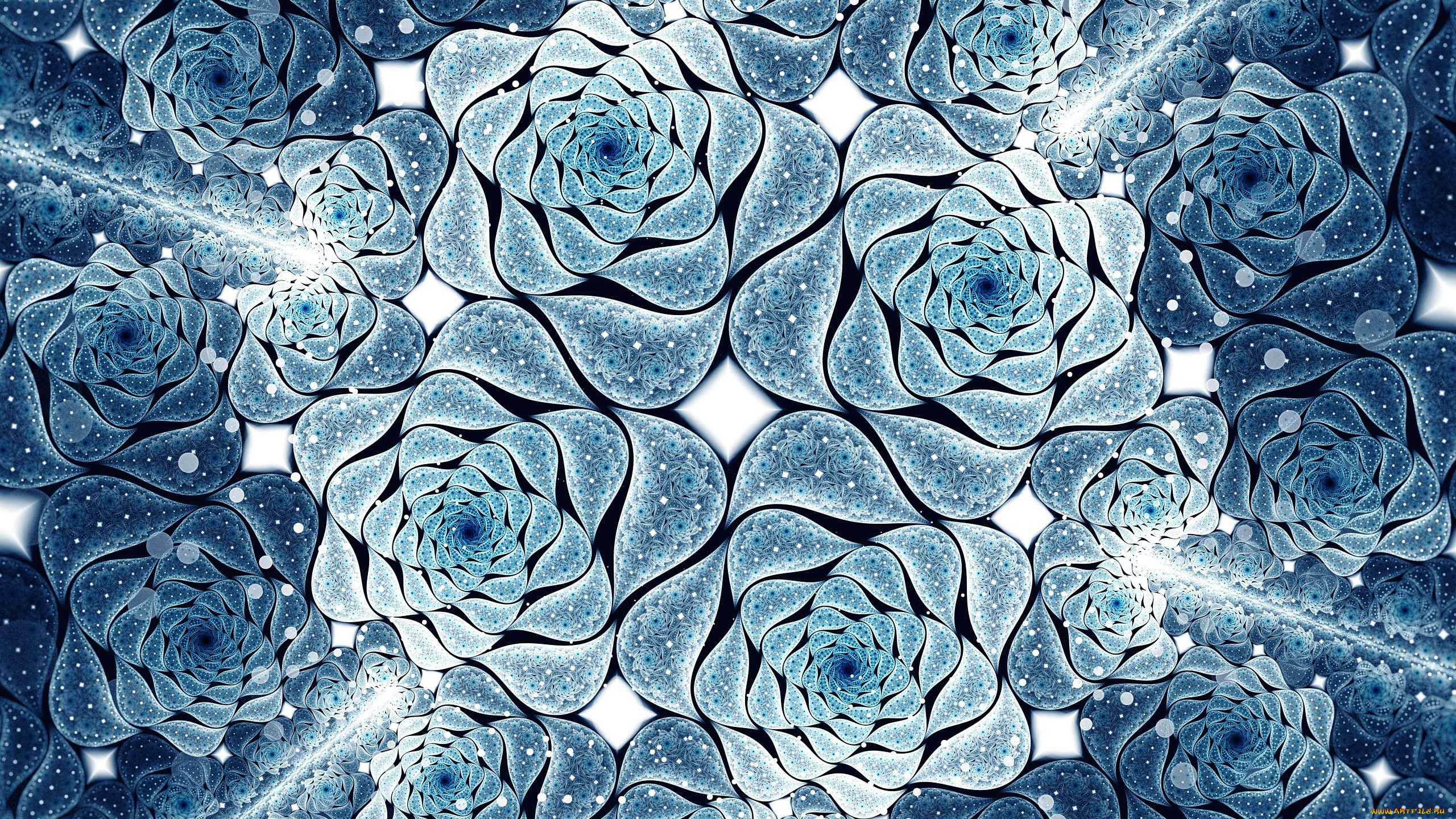 3 ,  , flowers, , 